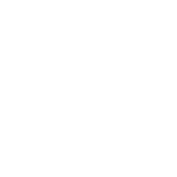 Icebreaker