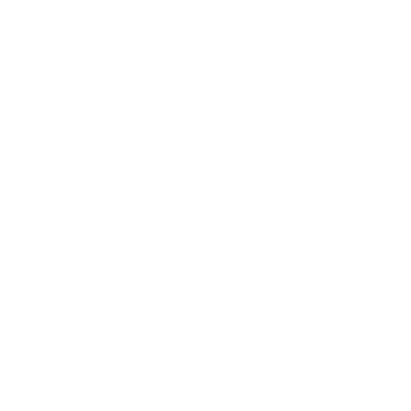 Moon Boot